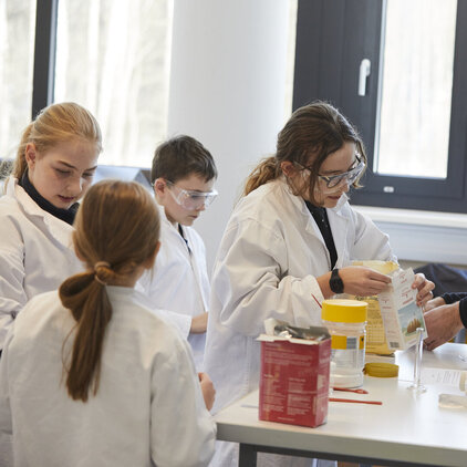 Copyright: Educational Lab