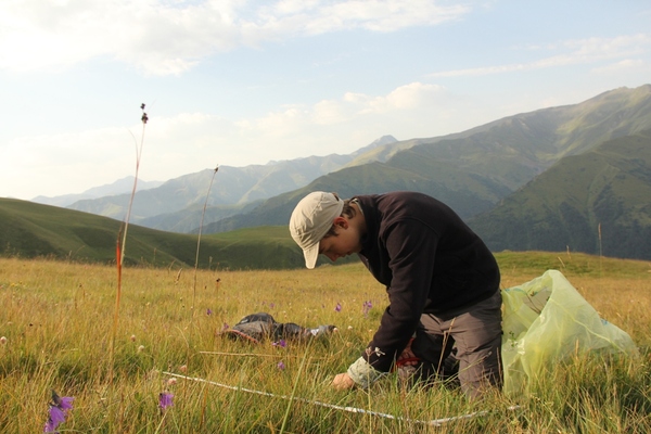 Arbeitsplatz Natur: Vegetationsuntersuchungen im Tusheti Nationalpark / Georgien (Foto: E.C.O., H. Kirchmeir)